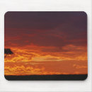 Suche nach akazienbaum mousepads Silhouette