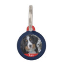 Recherche de contact d maison deco Chien