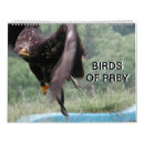 Recherche de oiseau calendriers Oiseau de proie