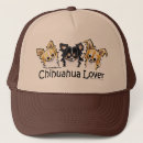 Suche nach langhaarig Chihuahua
