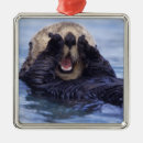 Suche nach seeotter ornamente Alaska