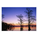 Recherche de faune posters Environnement