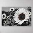 Recherche de fond posters Minimaliste