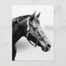 Recherche de pur cartes postales Derby
