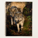 Recherche de loups bureau fournitures Photographie