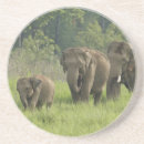 Suche nach asiatischer elefant untersetzer Elephas maximus