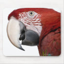 Suche nach ara mousepads Vögel