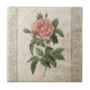 Suche nach alte rose fliesen Rosa