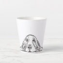 Recherche de basset tasses Hound