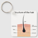 Recherche de anatomie porteclés Humain