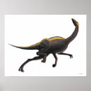 Recherche de reptiles posters Histoire