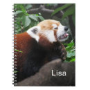 Suche nach waschbär kleine notizbücher Baum