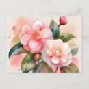 Suche nach rosa kamelie postkarten Botanisch