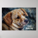 Suche nach tierheim poster Tierarzt