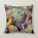 Suche nach actiniae Ernst haeckel