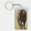 Suche nach afrikanische elefanten schlüsselanhänger Loxodonta africana