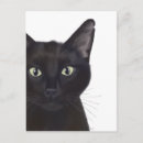 Suche nach fantastische katze postkarten Tierfreunde