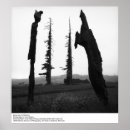 Suche nach ansel adams poster Bäume