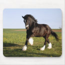 Recherche de horse tapis souris Équin