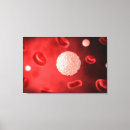 Recherche de globules sanguins posters Illustration