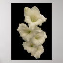 Recherche de épée posters Fleurs