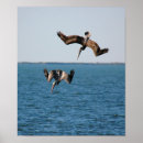 Recherche de plonger posters Eau