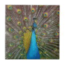 Suche nach aquamarin farbe fliesen Blau