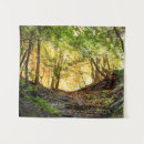 Recherche de vert forêt art Coucher de soleil