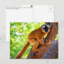 Suche nach madagaskar postkarten Afrika