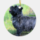 Recherche de terrier de cairn ornements Animal de compagnie