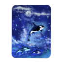 Recherche de baleines magnets Baignade