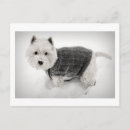 Suche nach pullover postkarten Winter