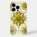 Recherche de haeckel iphone coques Biologie