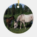 Suche nach arabisches ornamente Bob langrish