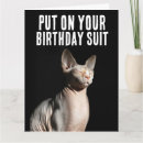 Recherche de sphynx chat vœux cartes Chaton