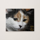 Recherche de câlin puzzles Chat