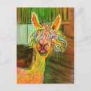Recherche de d alpaga cartes postales Capricieux