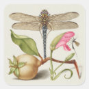 Suche nach nelke aufkleber Birne