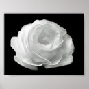 Suche nach vibrierend poster Bunt