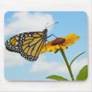Suche nach schwarze schmetterlinge mousepads Tier