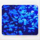 Recherche de méduses tapis souris Animal