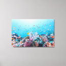 Suche nach riff leinwandbilder Nautisch