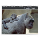 Suche nach gorilla büro zubehör Primat