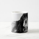 Recherche de cocker noir tasses Animaux