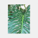Suche nach florida decken Natur