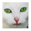 Recherche de yeux verts carreaux Pour tous