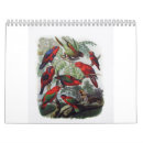 Recherche de perroquet calendriers Oiseau