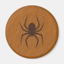 Recherche de araignées magnets Halloween