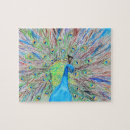 Recherche de paon bleu puzzles Jaune