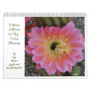 Suche nach kaktus kalender Blume